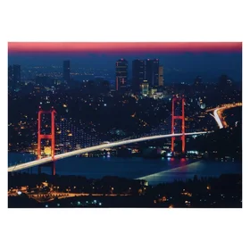 Картина световая Светящийся мост 5070 см