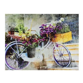 Картина на холсте Цветочный велосипед 30х40 см