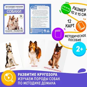 Обучающие карточки по методике Г. Домана Собаки, 10 карт, А6