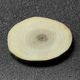 Спил дерева Акации, круглый, d4-7 см, h3,5 мм