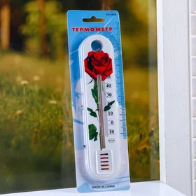 Пластиковый термометр комнатный Цветок в блистере -10 50, МИКС