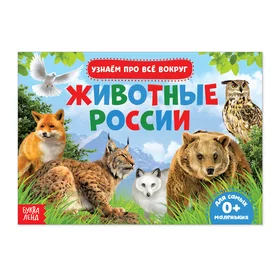 Обучающая книжка Животные России, 18 животных