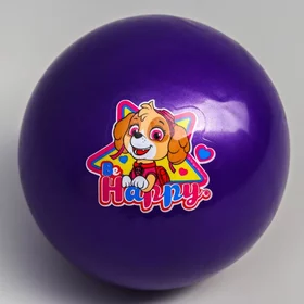 Мяч детский Paw Patrol Happy, 16 см, 50 г, цвета МИКС