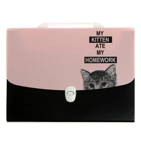 Папка-портфель 12 отделений на замке, A4 330 x240 x30 мм 800 мкм, deVENTE Hidden Cat , цвет розовый