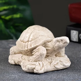 Статуэтка Черепаха на камне слоновая кость, 8х7х6см
