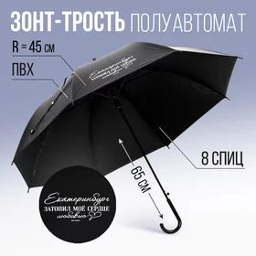 Зонть-трость полуавтомат Екатеринбург, цвет черный, 8 спиц, R 45 см