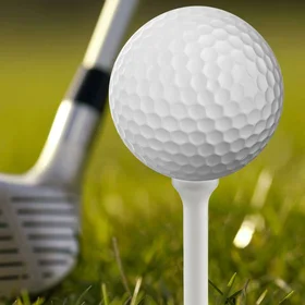 Набор подставок для гольф мяча, 10 штук, пластик, 1 х 7 см, белый цвет