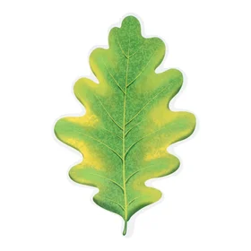 Плакат вырубной Листочек дубовый зелёно-жёлтый 6,5х6,5 см