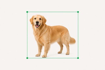 Bounding box